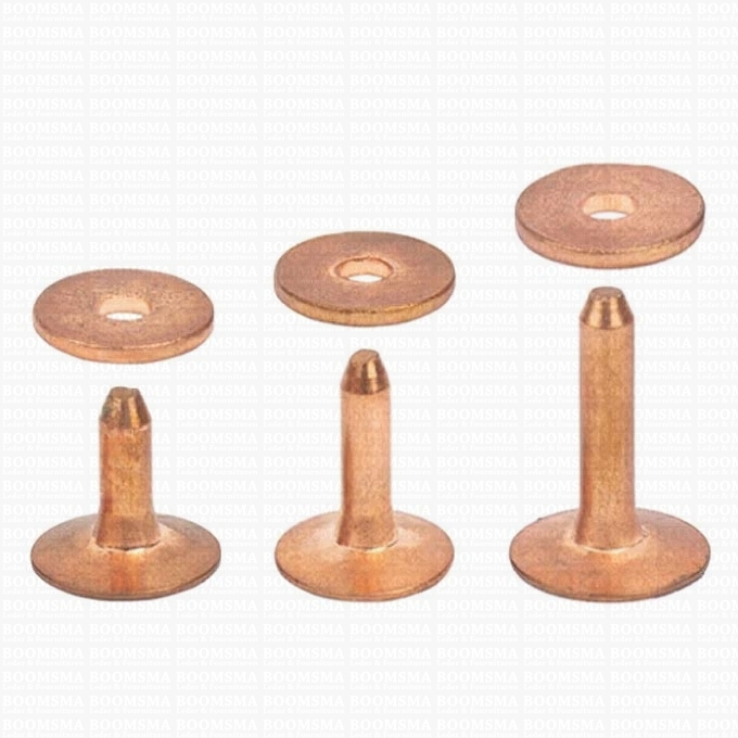 Buy your Rivets and burrs small brass (red) (copper) 10 mm, (rivet + burr)  cap Ø 10 mm, pin Ø 2.8mm (per 10) COPPER online